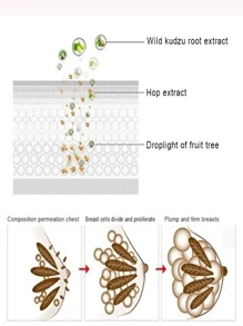 Crema Afirmante De Busto Aumenta Senos Push Up 150ml - Amarillo - Ver 5