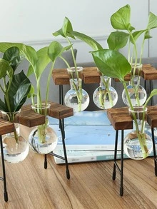 Bình hoa - Trong sáng - Xem 2