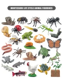 8入組生命週期學習和教育玩具套裝，寫實的蝴蝶模型玩具，蒙特梭利幼兒學習玩具，附帶學習卡片，適合學校、學生、文具、學用品等 - 黑色 - 查看 5