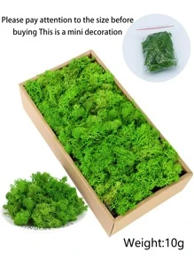 1 Rêu nhân tạo, Rêu giả Polyester hiện đại để trang trí nhà - màu xanh lá - Xem 1