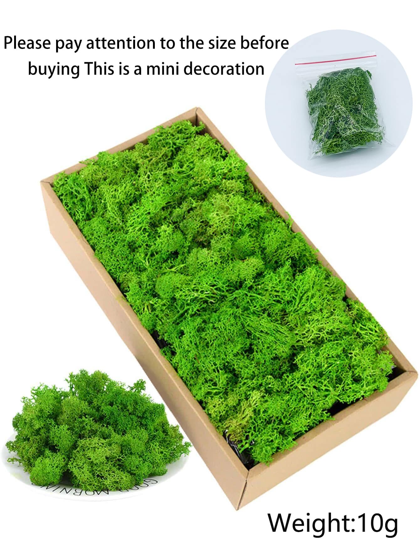 1 Rêu nhân tạo, Rêu giả Polyester hiện đại để trang trí nhà - màu xanh lá - Xem 1