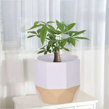 Flower Pot Garden Planters Indoor Plant Containers White Home Decro - White - View 7