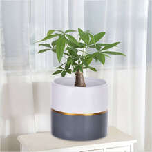 Flower Pot Garden Planters Indoor Plant Containers White Home Decro - White - View 9