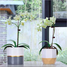 Flower Pot Garden Planters Indoor Plant Containers White Home Decro - White - View 8