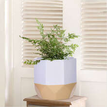 Flower Pot Garden Planters Indoor Plant Containers White Home Decro - White - View 10