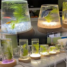 1 件 6LED 2.36 英寸/3.14 英寸/3.93 英寸白光 USB 木质照明底座、DIY 装饰灯、照明、发光杯垫、可动人偶展示架 - 白色 - 查看 6