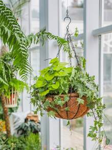 1 pieza 8 pulgadas redondo hierro coco fibra Plantador Cesta , colgante Maceta con cadena - Negro - Ver 2