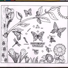 Reusable Coloring Mat For Girls - Butterfly World - Erases Crayons And Water-Based Markers - White - View 5