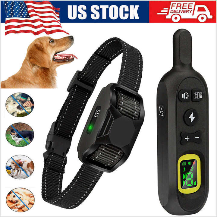 Puppy store electric collar