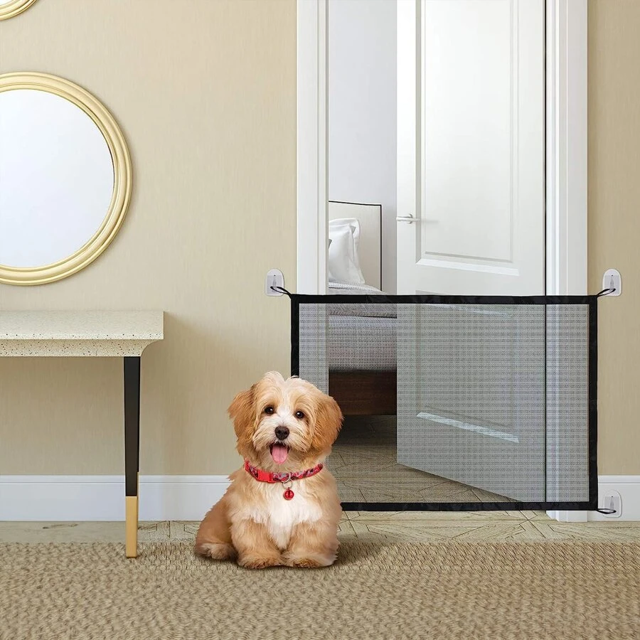 Chó Rào chắn Vật cản - màu đen - Xem 1