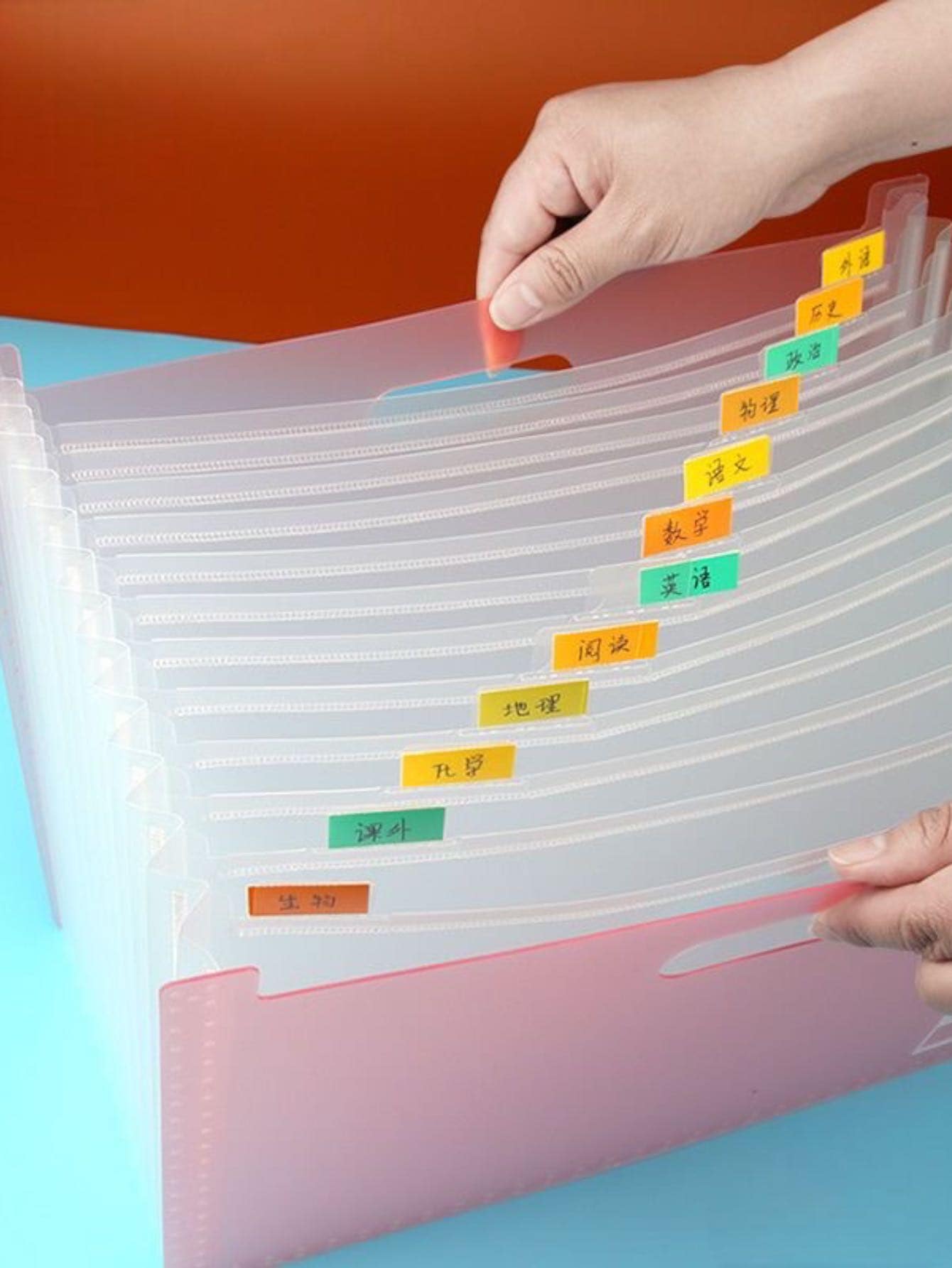 Folder con 13 divisiones y agarradera resistente color al azar - Multicolor - Ver 1