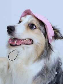 1 sombrero de cubo de lona con orejas expuestas, adecuado para que gatos y perros jueguen al sol dentro y fuera - Rosa - Ver 3