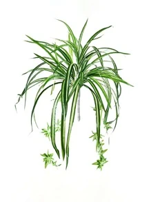 1入組塑料人造植物現代綠色家用人造植物 - 綠色 - 查看 4