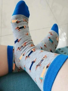 迷人小狗女士中筒襪新奇狗狗人襪子臘腸犬原宿卡通狗滑板禮品為她