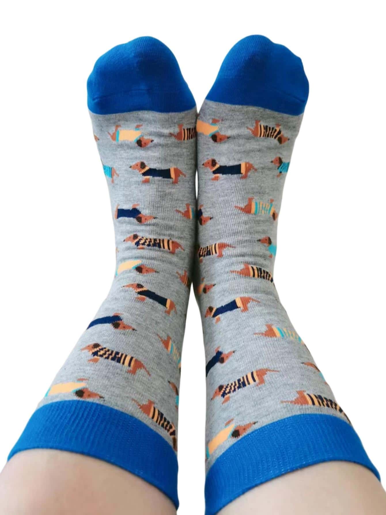 迷人小狗女士中筒襪新奇狗狗人襪子臘腸犬原宿卡通狗滑板禮品為她