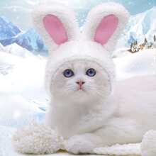 Linda Cabeza De Conejo Para Mascotas En Blanco, Adecuada Para Mascotas Pequeñas Y Medianas - Blanco - Ver 1