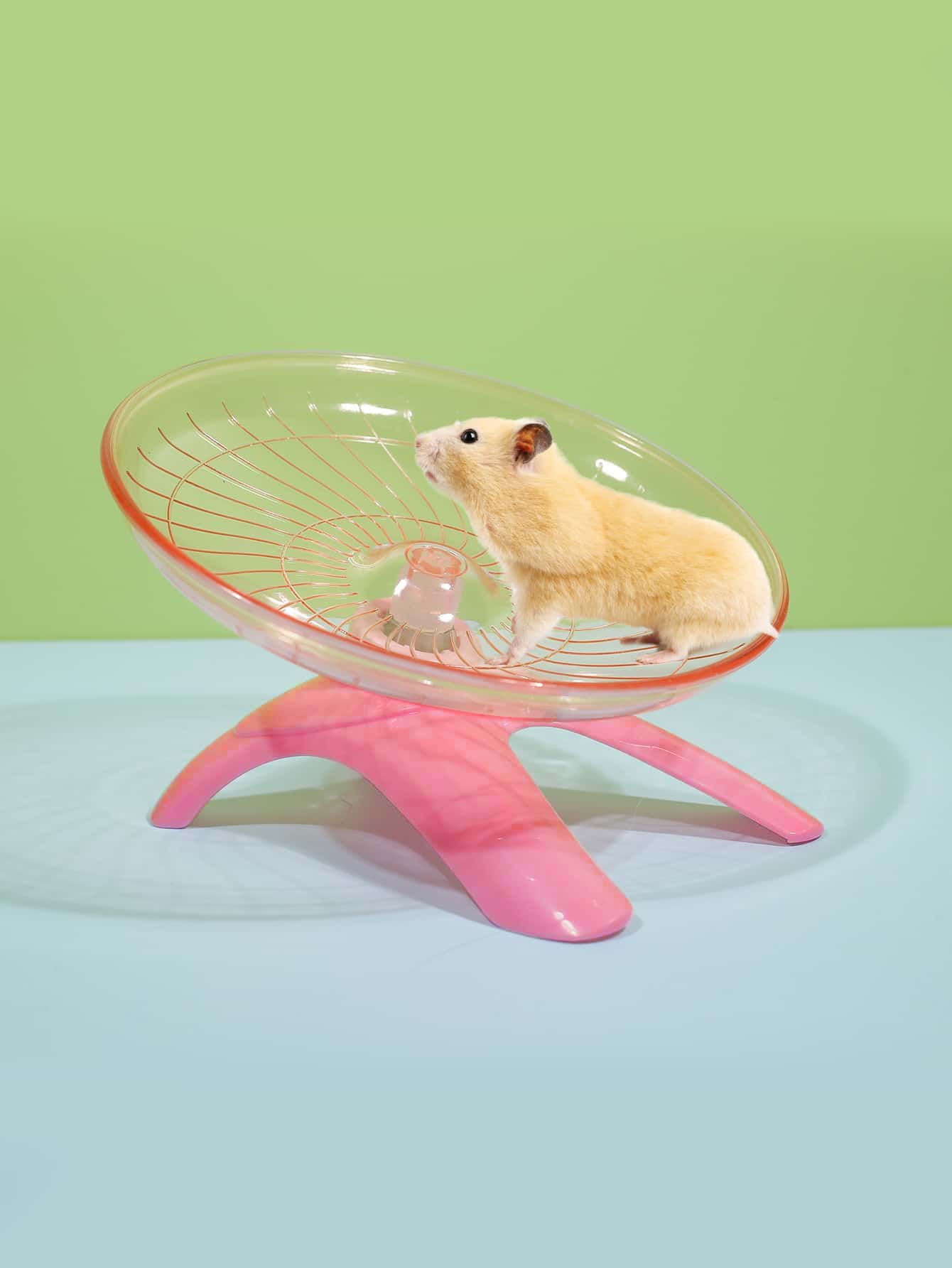 倉鼠車輪玩具 - 彩色 - 查看 1