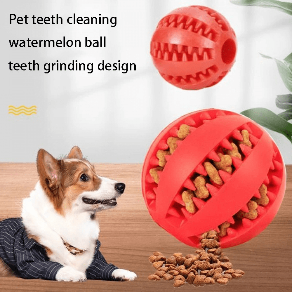 Jouet balle en caoutchouc pour chiens de compagnie, interactif pour chiens petits et grands, chiots et chats. Jouet à mâcher nettoyant pour les dents de l'animal de compagnie, balle indestructible et ultra-résistante, élastique et interactive. Accessoire pour animaux de compagnie, couleur aléatoire