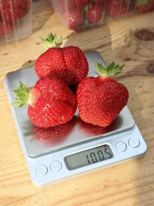 Other Measuring Tools - 銀色 - 查看 8