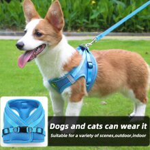 A Set Of Pet Harness And Leash, Soft Mesh Comfortable Breathable Adjustable Dog Vest Harness, Suitable For Small Dogs Or Puppies, All Seasons