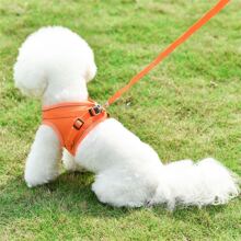 1套寵物胸甲和牽繩,柔軟網眼,舒適、透氣、反光、可調節,胸背帶、小型寵物背心、不帶項圈、貓狗牽繩、四季通用