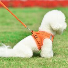 1套寵物胸甲和牽繩,柔軟網眼,舒適、透氣、反光、可調節,胸背帶、小型寵物背心、不帶項圈、貓狗牽繩、四季通用