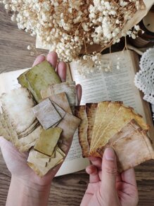 45pcs Mixed Pattern Sticker Back To School - Multicolor - View 8