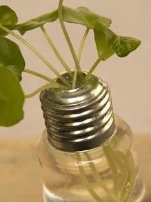 1入組燈泡造型透明玻璃花瓶,創意水培植物容器,適用於家庭裝飾用品 - 無色 - 查看 4