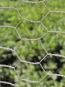 1入組鍍鋅雞金屬絲網紗擊劍至保護園藝植物蔬菜花卉水果小狗兔子 - 銀色 - 查看 9