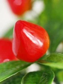 1 chậu cây nhân tạo - Nhiều màu - Xem 5