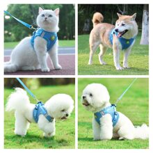 A Set Of Pet Harness And Leash, Soft Mesh Comfortable Breathable Adjustable Dog Vest Harness, Suitable For Small Dogs Or Puppies, All Seasons