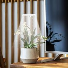 植物生長燈,室內植物用全波段led植物燈,高度可調適用於4/8小時自動開/關計時器,4段可調節亮度,非常適合小植物和迷你盆栽 - 米色 - 查看 6