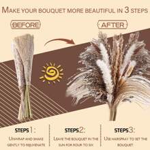 110pcs, Dried Pampas Grass Decor Boho Flower Bunny Tails Dried Flowers Bouquet Small Pampas Grass - Apricot - View 8