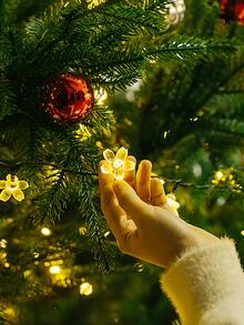 1入組派對&假期環境室內室外櫻花燈簾適用於節日裝飾用品