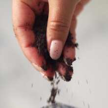 Bella all Natural Peelings Faciales Exfoliantes - Marrón - Ver 6