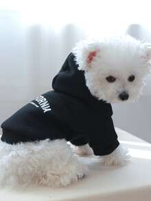 1pc Printed Hoodie Dog/Cat Clothes With Hoodie, English Alphabet Design, Pet Sweatshirt - Black - View 5