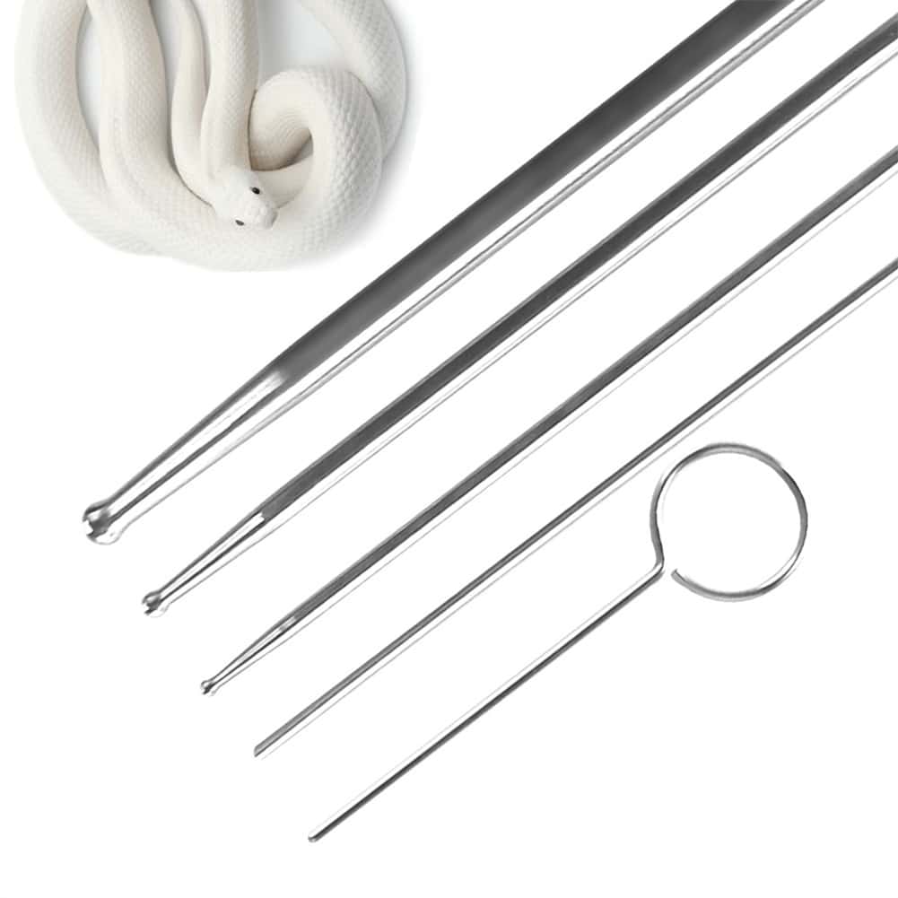 Snake Balls Snake Probes, 6 Piece Professional Probe Set Stainless Steel Round Head Anti Allergy Reptiles Snake Sexing Probe Snake For Veterinary Probe Kit