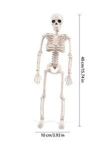 1 pieza de plástico humano esqueleto Decoración Adorno , realista de cráneo esqueleto modelo - Blanco - Ver 7