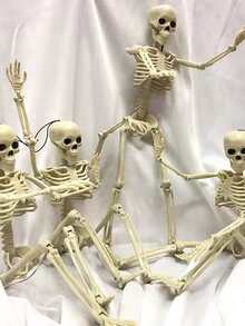 1 pieza de plástico humano esqueleto Decoración Adorno , realista de cráneo esqueleto modelo - Blanco - Ver 2