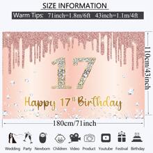 Dienalls Happy 17th Birthday Banner Backdrop Decorations for Girls - Multicolor - View 2