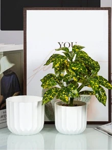 1 件装加厚塑料花盆室内桌面竖条纹绿植苗圃 - 白色 - 查看 3