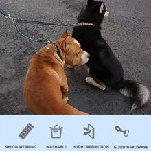 1pc Reflective Double Dog Leash - Orange - Orange - View 3