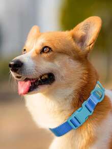 1 Miếng Hợp kim kẽm Hình chữ D Vòng cổ chó Với Có màu sắc Khóa Và Đầy màu sắc Dệt Dây đeo - Nhiều màu - Xem 4