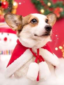 1 件寵物聖誕服裝、帽子和紅斗篷聖誕老人衣服適合狗和貓,紅色