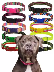 Pet Collars - 彩色 - 查看 1