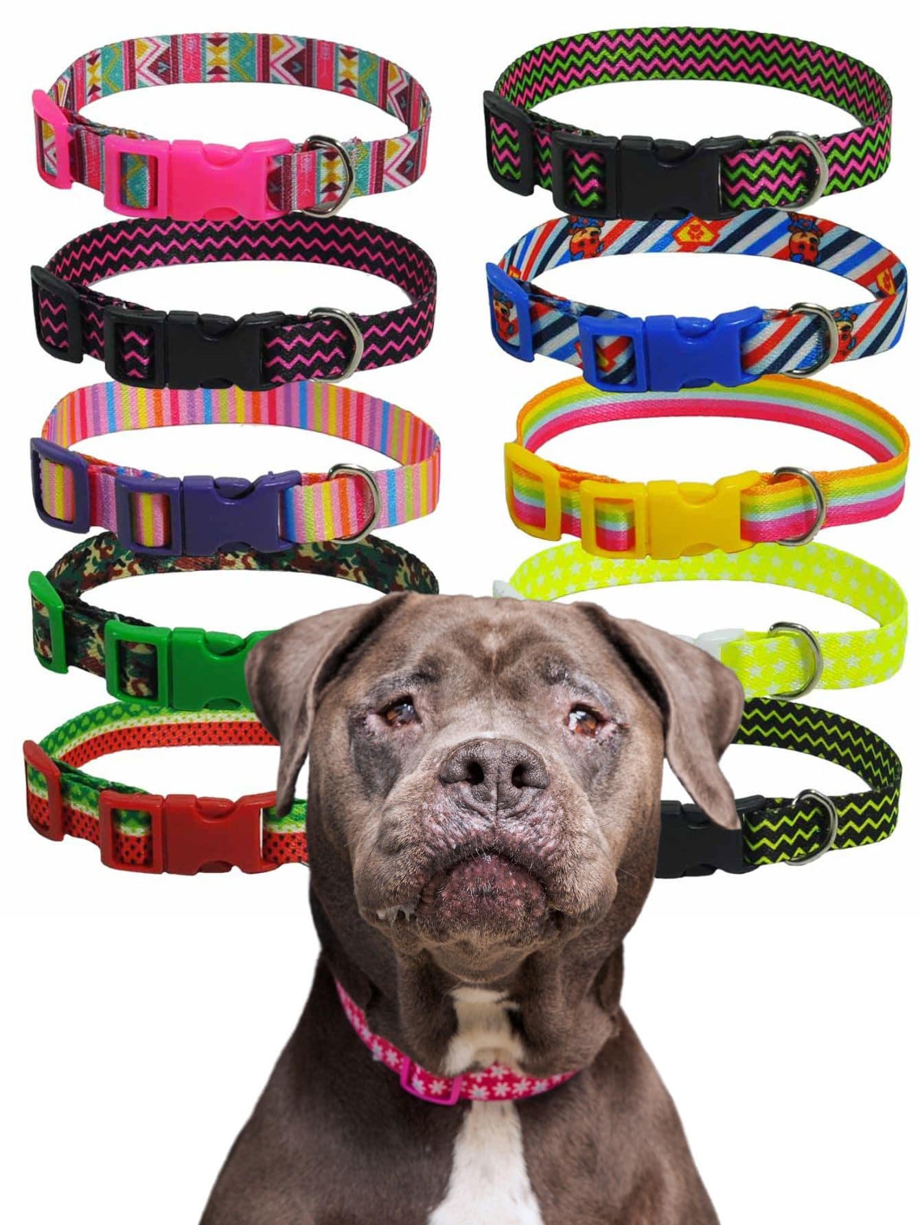 Pet Collars - 彩色 - 查看 1