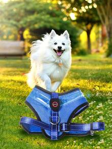 1 Miếng Led Thú cưng Ngực Và Trở lại Áo vest Với 3 Nhấp nháy Chế độ , Không thấm nước & Thoáng khí , Thích hợp Đối với Đi dạo Chó at Đêm Và Giáng sinh Bầu không khí , Thích hợp Đối với Lớn , Trung bình Và Nhỏ bé Mèo Và Chó , Có thể sạc lại Phong cách - Màu xanh lam - Xem 3