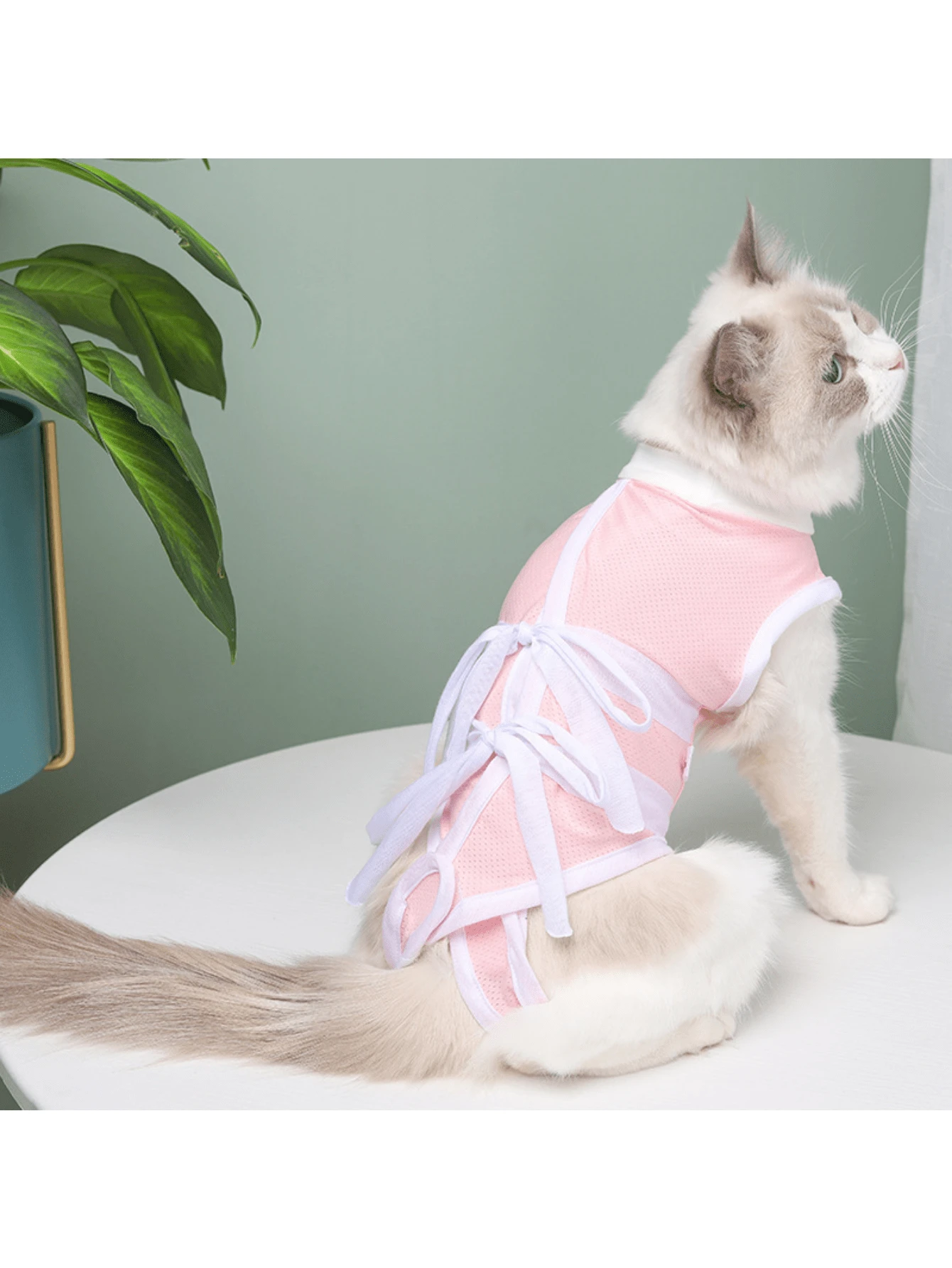 1pc Breathable Pet Neutering Surgery Suit With Ties, For Cats, Prevent