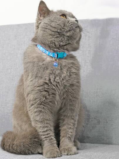 可調節寵物項圈帶鈴鐺合適的適用於小狗和貓