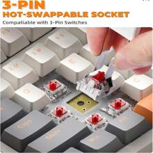 Wireless Mechanical Keyboard, Dual Mode 2.4G/BT5.0 2-in-1 Receiver, 100 Keys Hot Swappable Red Switches Gaming Keyboard with Number Pad for PC Gamers/Windows
